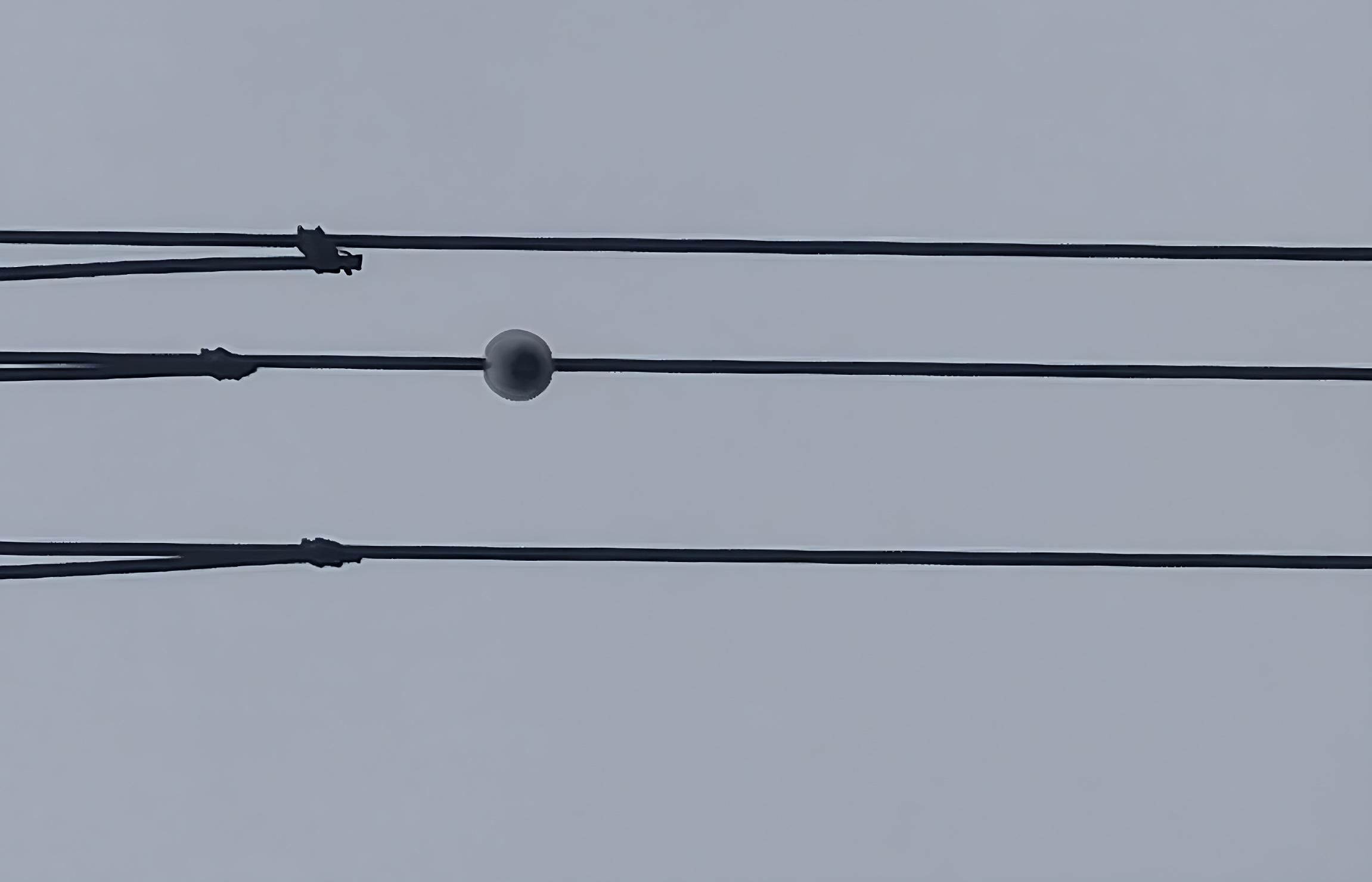 鄂電穩(wěn)線“哨兵”：特力康舞動(dòng)監(jiān)測(cè)裝置守護(hù)超高壓線路舞動(dòng)安全