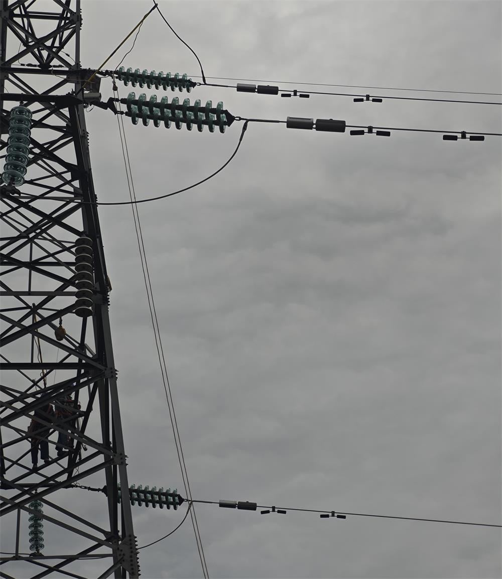 特力康線路故障隱患定位監測系統，賦能江西電力運維升級